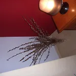 Apartament El Molino Castejón de Sos