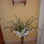 El Molino Apartament Castejón de Sos