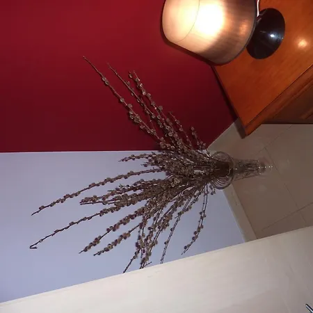 Daire El Molino Castejón de Sos