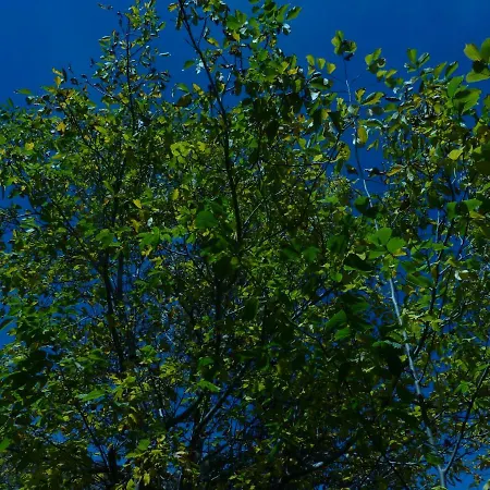 El Molino Lägenhet *