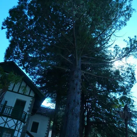 Lejlighed El Molino Castejón de Sos
