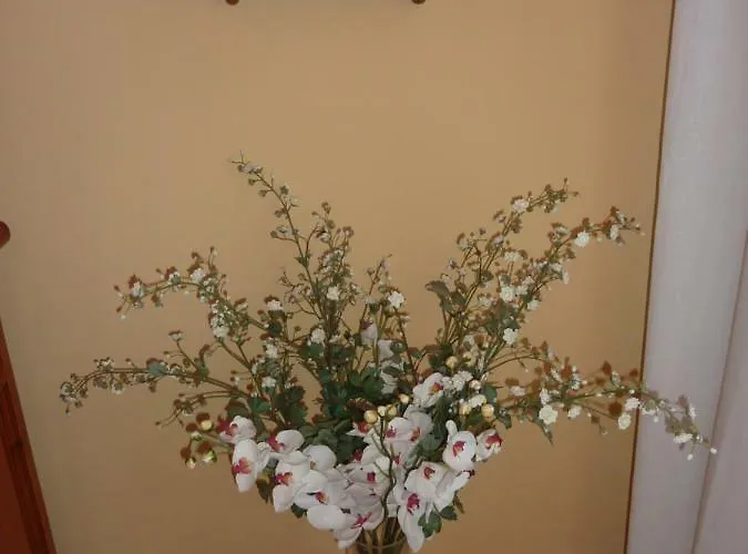 El Molino Lägenhet Castejón de Sos