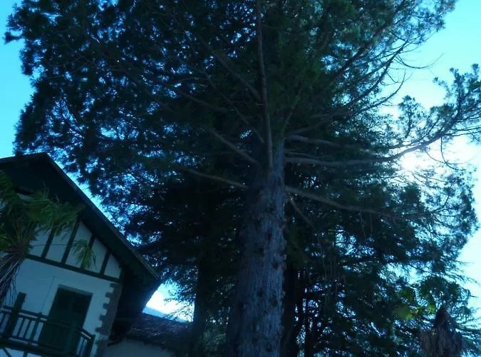 Lägenhet El Molino Castejón de Sos